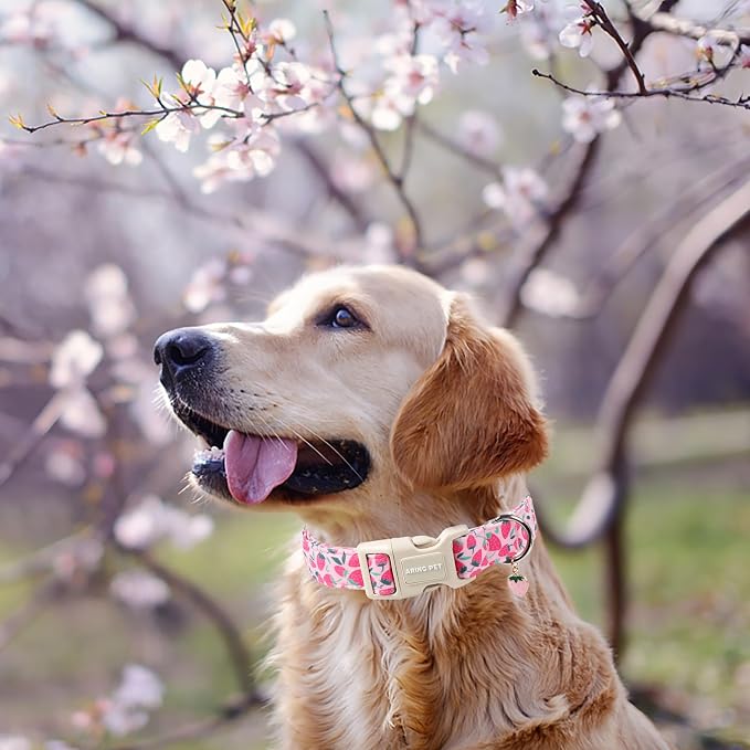 ARING PET Strawberry Dog Collar, Cute Spring Summer Pink Puppy Pet Collars for Small Medium Large Female Girl Dogs-XL
