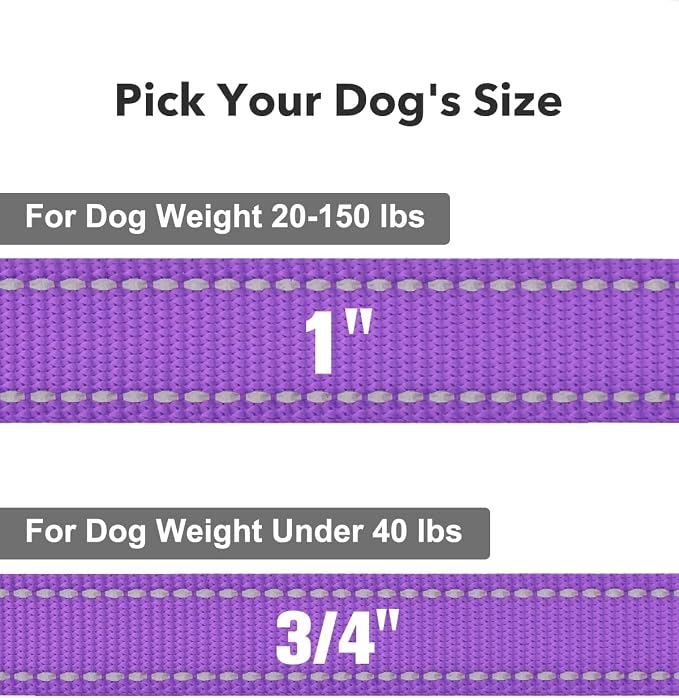 Taglory Dog Leash for Medium Large Dogs, Double-Sided Reflective for Night Walking, Neoprene Padded Handle, 1 inch by 6 ft, Heavy Duty for Medium Large Breeds 20-150 lbs, Purple