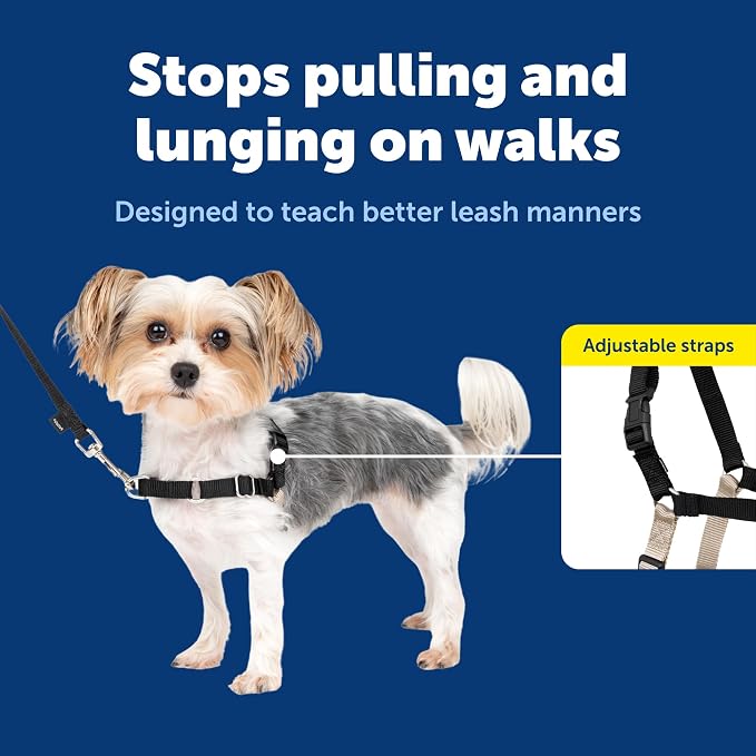 PetSafe Easy Walk No-Pull Dog Harness - Ultimate Harness to Help Stop Pulling - Pull-Free Walks - Take Control & Teach Better Leash Manners - Patented Martingale Loop Design - Black, Petite