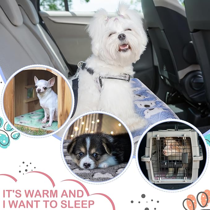Reginary 4 Pcs Waterproof Guinea Pig Blankets Washable Small Animal Fleece Bedding Absorbent Guinea Pig Cage Liners Reusable Training Pee Pad Pet Sleep Mat for Hamster(Bear Pattern,24 x 16 Inch)