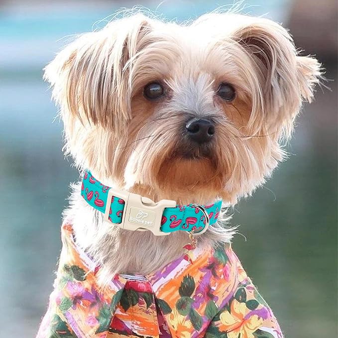 Summer Dog Collar, Cute Boy Flamingo Pool Party Dog Collars for Puppy Small Dogs - Beach Day Pup Collar, Soft Adjustable Male Pet Collars with Quick Release Buckle XS