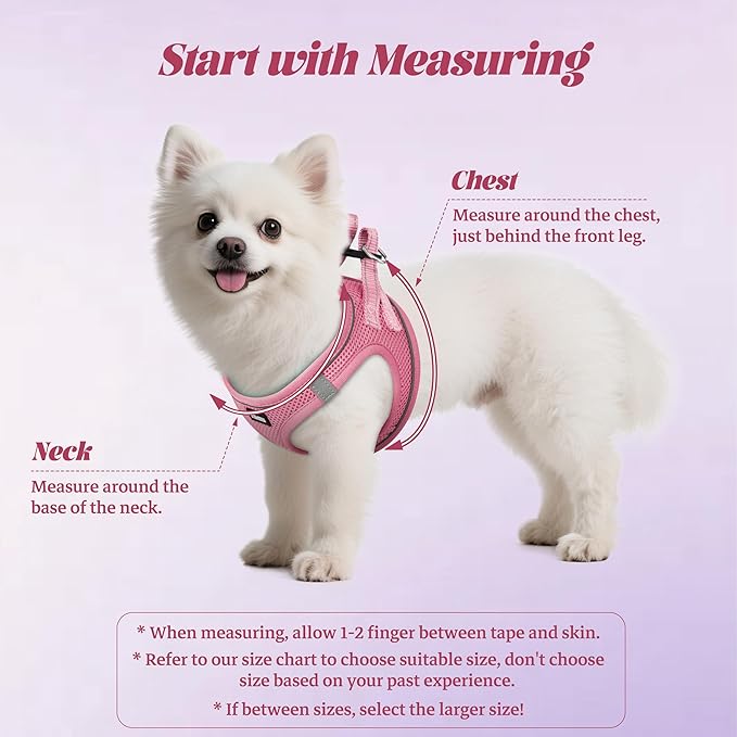 YIMEIS Dog Harness and Leash Set, No Pull Soft Mesh Pet Harness, Reflective Adjustable Puppy Vest for Small Medium Large Dogs, Cats (Pink, Small (Pack of 1)