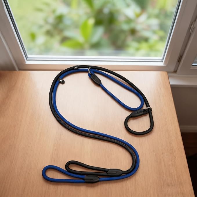 2-Pack Adjustable Nylon Slip Dog Lead – Collar-and-Leash Integrated Design for Training (Black/Blue)