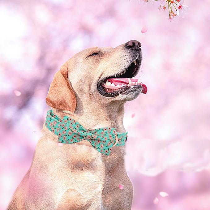 Elegant little tail Dog Collar, Spring Pet Collar with Bow Dog Durable Pink Flower Print Dog Collars Girl Pet Gift Adjustable Dog Collar for X-Small Dogs