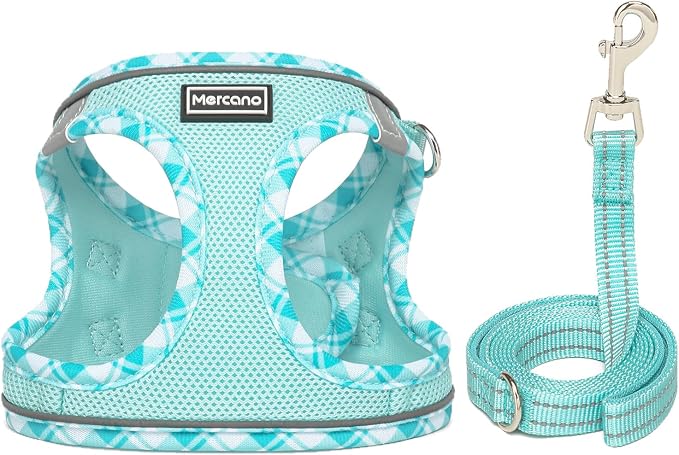 Mercano Soft Mesh Dog Harness and Leash Set, Step-in Reflective Breathable Lightweight Vest Harnesses with Safety Buckle for Small Dogs, Cats (Light Blue, XXS)