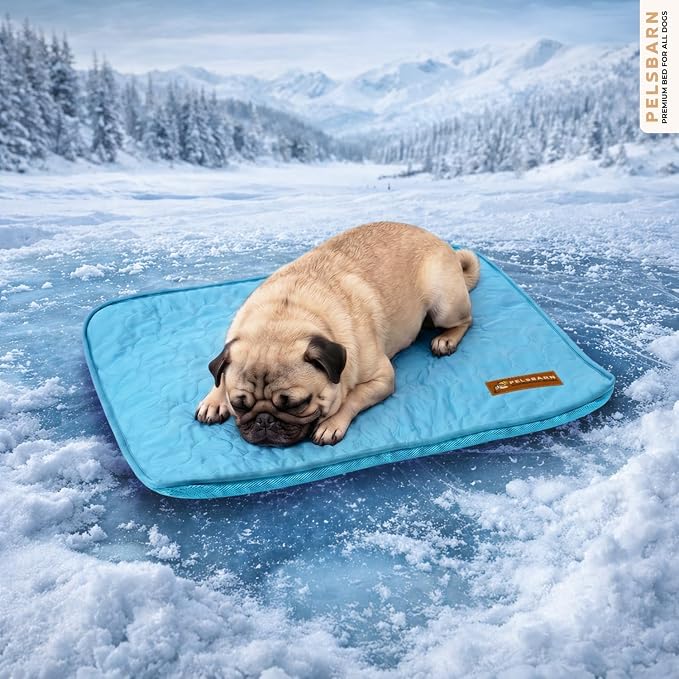 Pelsbarn Dog Cooling Mat- Ice Silk Summer Comfort, Self Cooling, Non-Slip Dog Pad, Durable & Washable, Mat for Small Dogs 18 x 21, Support Shelter Dogs with Every Purchase (Blue)
