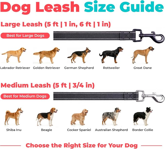 Best Pet Supplies Voyager Reflective Dog Leash or Collar with Neoprene Handle, for Small, Medium, and Large Breed Puppies, Cute and Heavy Duty for Walking, Running and Training - Black (Leash), S