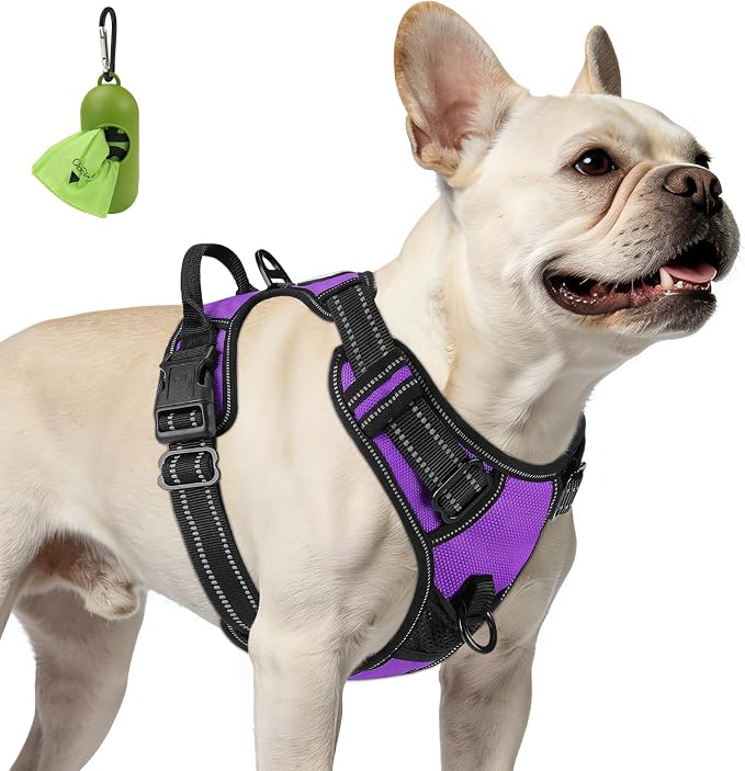 Joytale No Pull Dog Harness for Small Dogs, Reflective Pet Vest with Front Clip, Adjustable Soft Padded Harnesses with Easy Control Handle for Training and Walking, Purple, S