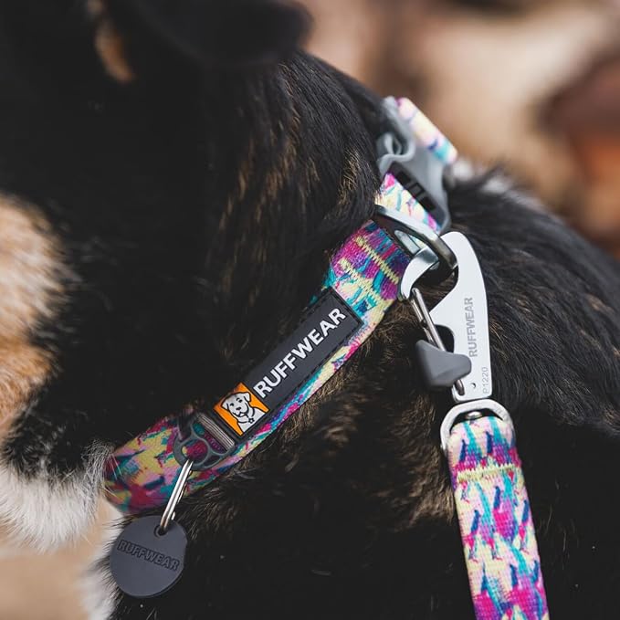 Ruffwear, Front Range Dog Collar, Adjustable Tubelok Webbing, Lightweight, Side Release Buckle, Aluminum V-Ring, Durable for Everyday Use, Reef Fish, 14"-20"