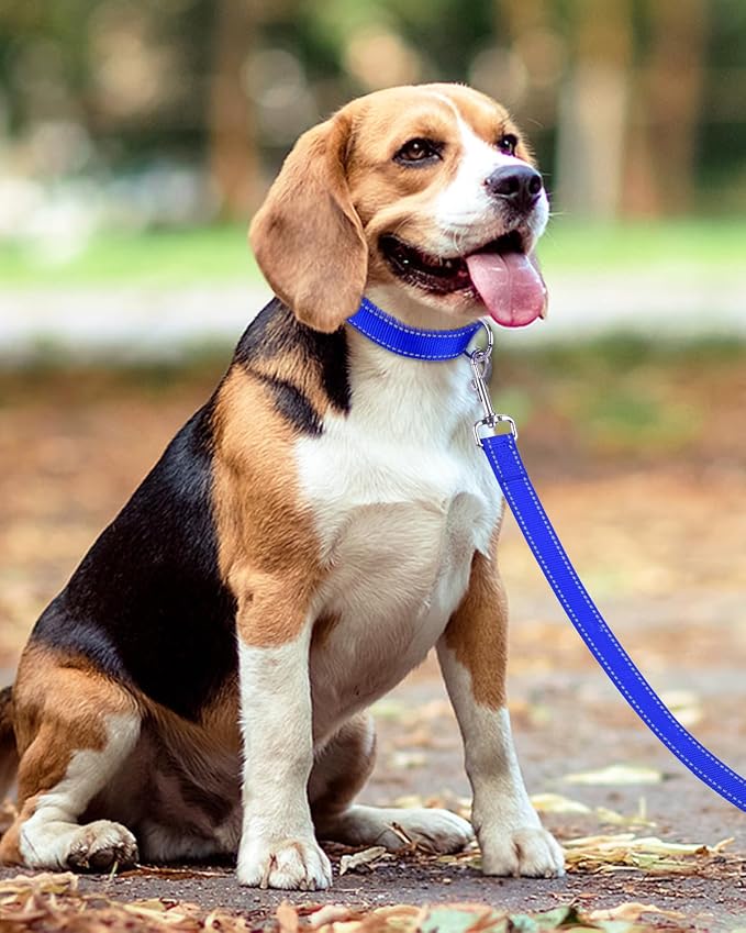 Taglory Dog Leash for Medium Large Dogs, Double-Sided Reflective for Night Walking, Neoprene Padded Handle, 1 inch by 5 ft, Heavy Duty for Medium Large Breeds 20-150 lbs, Navy Blue