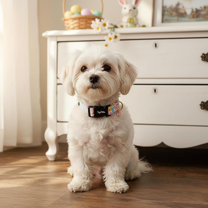 Easter Dog Collar with Cute Bunny & Bow Patterns, Small Dog Collar with Exquisite Pendant, Durable Adjustable Collars for Easter Gifts & Daily Use-S