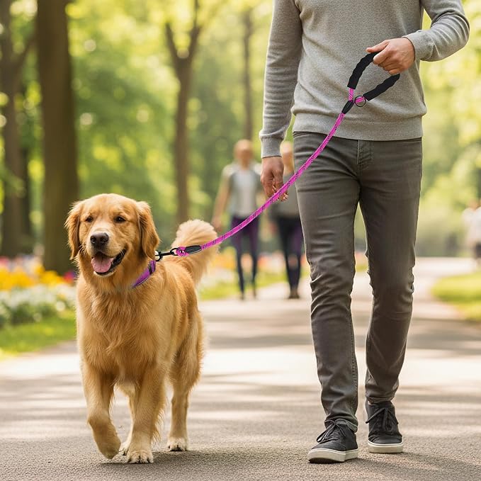 Heavy Duty Dog Leash - 4.9 FT for Large and Small Dogs - Strong Nylon, Comfortable Handle, Reflective Stitching - Ideal for Walking, Training, and Outdoor Activities, Hotpink