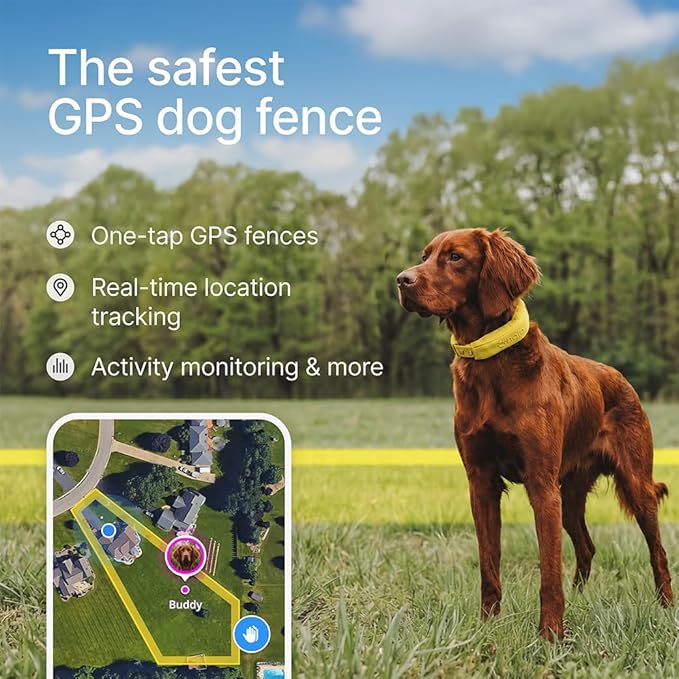 Halo Collar 5 Wireless Dog Fence & GPS Dog Collar, Keep Your Dog Safely Contained Outdoors with App-Controlled Boundaries and Real-Time Tracking, One Size, Ranger
