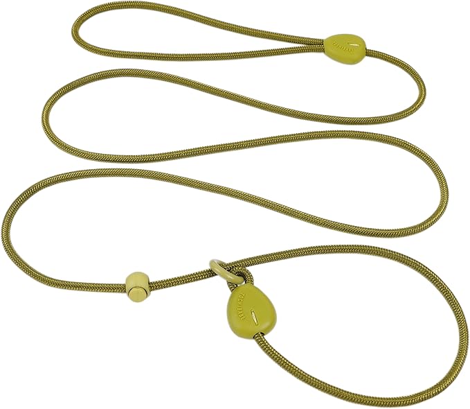 Green 6FT Heavy Duty Dog Training Leash - Comfortable Rope, No Pull, Suitable for Small to Medium Dogs
