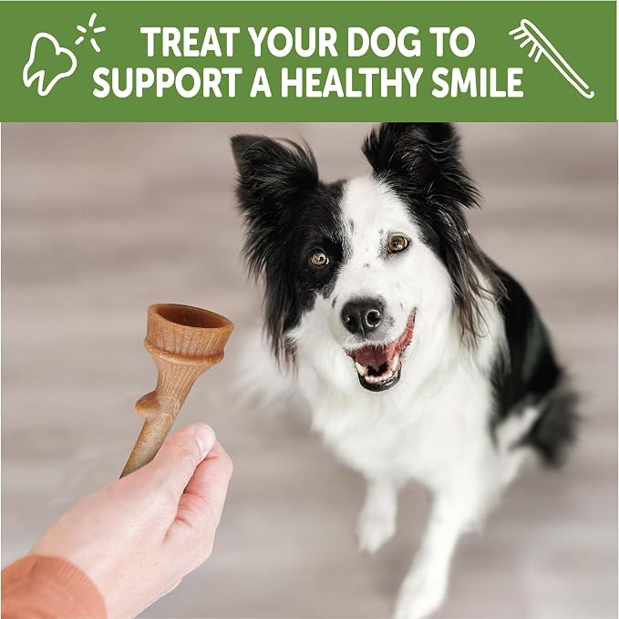 Wellness WHIMZEES Antler Occupy Natural Dog Dental Treat, Chews, Freshens Breath, Medium Size, 12.7 oz Bag, 12 Count