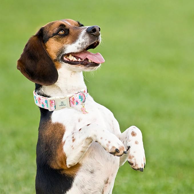 Lionheart glory Dog Collar Dinosaurs Pattern Cute Collar for Medium Dogs Spring Summer Female or Male Collars Pets Gift Adjustable Heavy-Duty Pet Collars