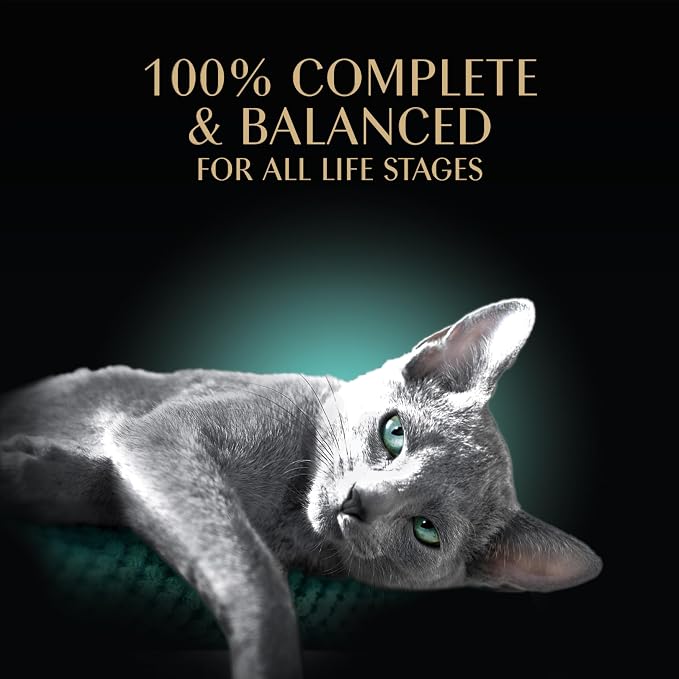 Sheba Gravy Indulgence Adult Wet Cat Food,Wet Food for Cats Salmon Entree in Extra Gravy,2.6 oz. Twin-Pack Trays (,48 Servings),24 Count (Pack of 2)