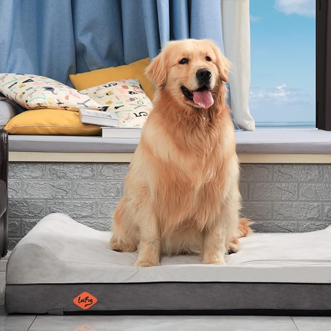Laifug Orthopedic Dog Beds for Large Dogs,7" Memory Foam Dog Beds,Durable Water Proof Liner Removable and Washable, Nonskid Bottom, Dark Grey 50"x36"x7"
