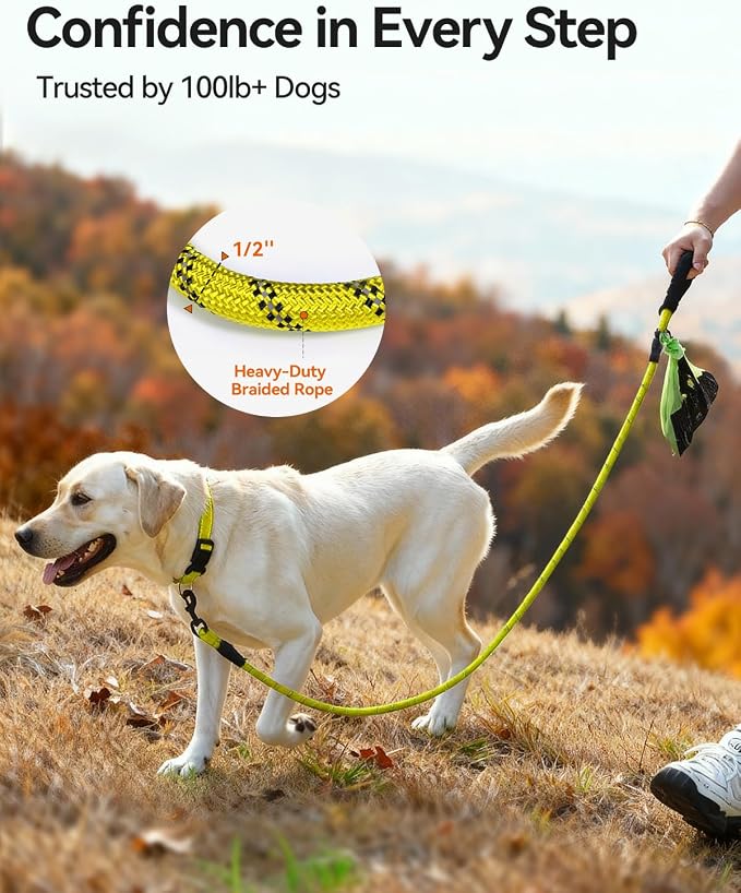 Joytale Dog Leash for Large Dogs, Heavy Duty Nylon Leashes with Comfortable Padded Handle and Highly Reflective Threads, Ideal for Walking and Training, Yellow, 6'×1/2''