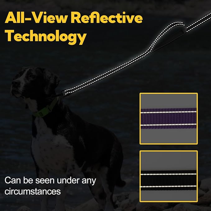 2-Handle Dog Leash Heavy Duty, Traffic Control & Night Safety Reflective Lead for Mid Large Dogs, Comfort Padded Grip Dog Leashes for Walking and Training(6 FT x 1" Wide Black+Grey)