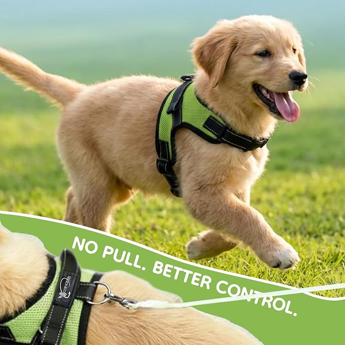 No Pull Reflective Adjustable Dog Harness with Handle- Comfortable Soft All Weather Mesh, Easy On Puppy Harness for Small Medium and Large Dogs (Green) Small