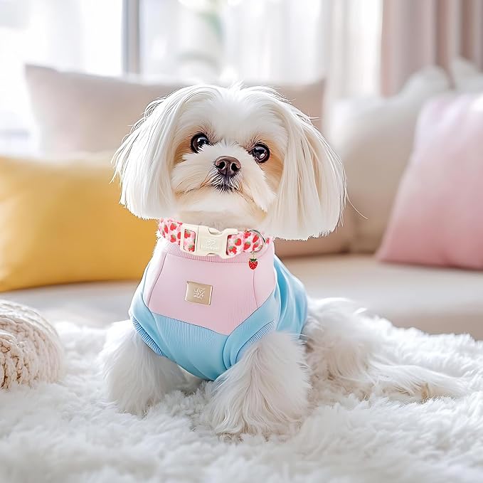 Strawberry Dog Collar Summer Pink Girl Dog Collars for Small Dogs - Lightweight Adjustable Cute Female Dogs Everyday Collar with Safety Buckle S