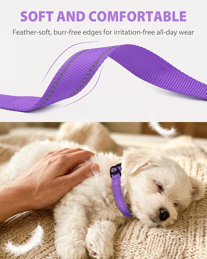 Joytale Dog Collars for Small Dogs, Feather-Light Double-Sided Reflective Nylon Collar for Night Safety, Adjustable Quick-Release for Growing Puppies, Purple, S (5/8" Width)