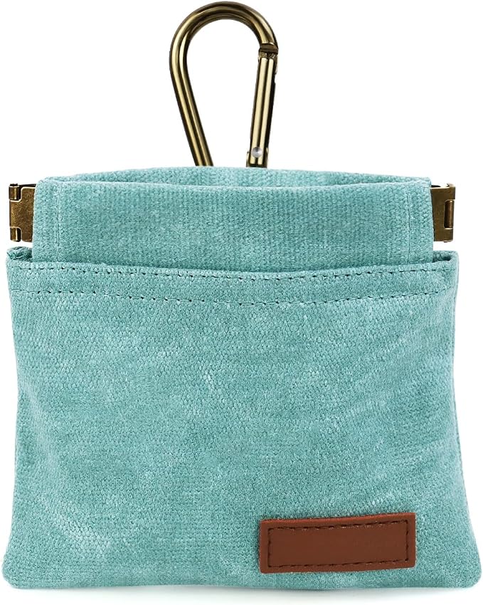 1 Pcs Pocket Pet Training Pouch,Dog Treat Pouch for Portable Pet Dog Walking Bag for Travel or Outdoor Use (Cyan)
