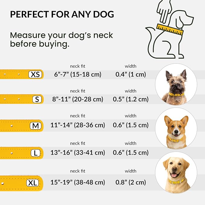 CollarDirect Reflective Rolled Leather Dog Collar, Soft Padded Round Puppy Collar, Handmade Genuine Leather Collar Dog Small Large Cat Collars 13 Colors (6-7 Inch, Yellow Reflective)