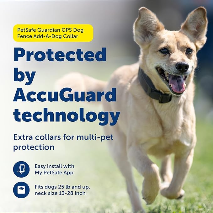 PetSafe Guardian GPS Dog Fence Add-A-Dog Collar - Add-On for Guardian GPS Dog Fence System - Backed with the Worlds Safest GPS Fence Technology - Long Battery - Tone, Vibration & 10 Levels of Static