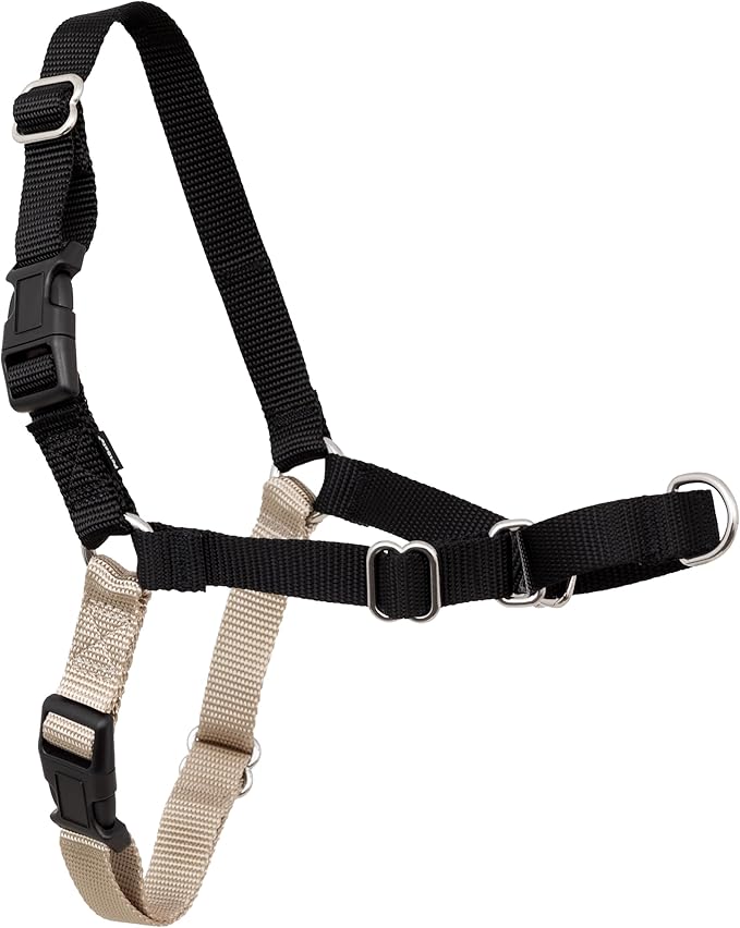 PetSafe Easy Walk No-Pull Dog Harness - Ultimate Harness to Help Stop Pulling - Pull-Free Walks - Take Control & Teach Better Leash Manners - Patented Martingale Loop Design - Black, Medium