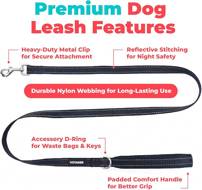 Best Pet Supplies Voyager Reflective Dog Leash or Collar with Neoprene Handle, for Small, Medium, and Large Breed Puppies, Cute and Heavy Duty for Walking, Running and Training - Black (Leash), S