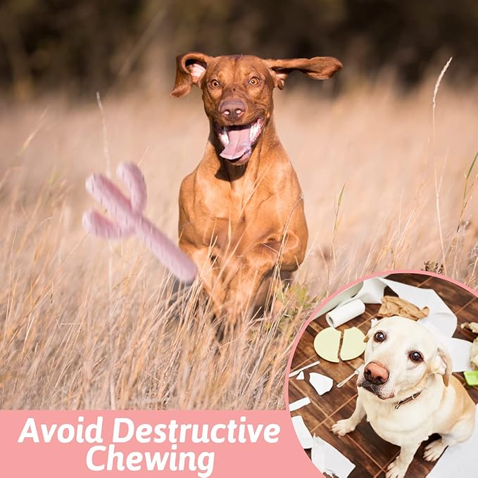 MewaJump Dog Chew Toys, Tough Rubber Dog Toys for Aggressive Chewers, Cactus Dog Toy for Training and Cleaning Teeth, Pink Cute Dog Toys for Medium/Large Dog