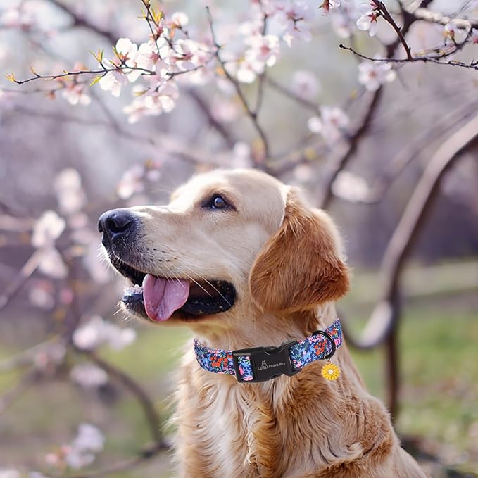 ARING PET Floral Dog Collar, Cute Blue Pink Orange Spring Summer Flower Doggy Pet Collars for Puppy Small Medium Large Girl Female Dogs-XS
