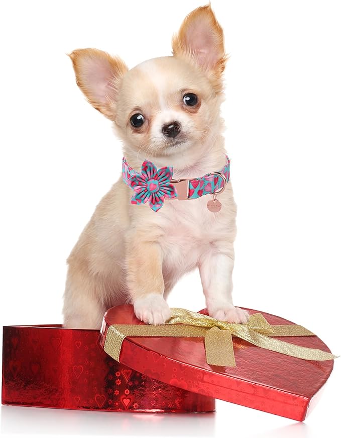 Valentine Dog Collar with Flower, Heart Flower Collar for Puppy Girl Boy Dog or Cat, Comfortable Dog Collar Flower with Durable Metal Buckle, Cute Pet Collar, L, Neck 16-24in