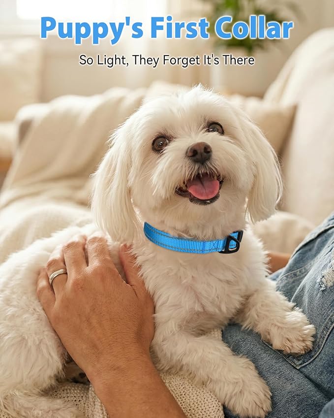 Joytale Small Dog Collar, Durable Double-Sided Reflective Nylon Collar for Night Safety, Adjustable Quick-Release for Active Breeds, Sky Blue, S (3/4" Width)