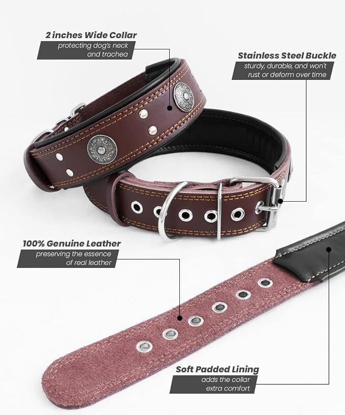 Genuine Leather Dog Collar for Large Dogs,2 in Wide Heavy Duty,BN-S | Handmade,Stainless Steel Pin Buckle,Soft Padded,Alloy Studded,Luxury Eye-catching Design,Medium Large Giant Breeds,15-19 in