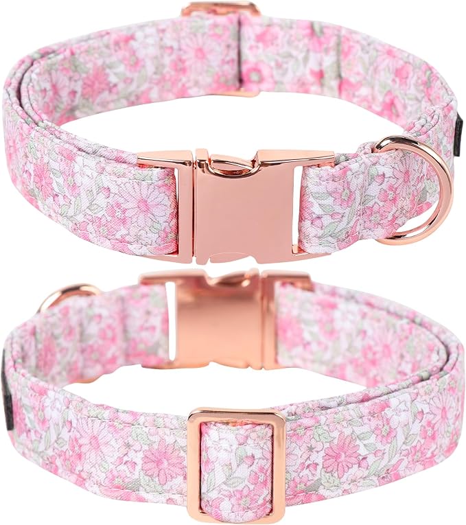 Lionet Paws Design Dogs Collar Cute Flower Sailor Bow Dog Collars for Girl Female Medium Large Dogs with Spring Floral XL