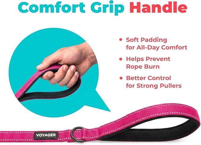 Best Pet Supplies Voyager Reflective Dog Leash or Collar with Neoprene Handle, for Small, Medium, and Large Breed Puppies, Cute and Heavy Duty for Walking, Running and Training - Fuchsia Leash, L