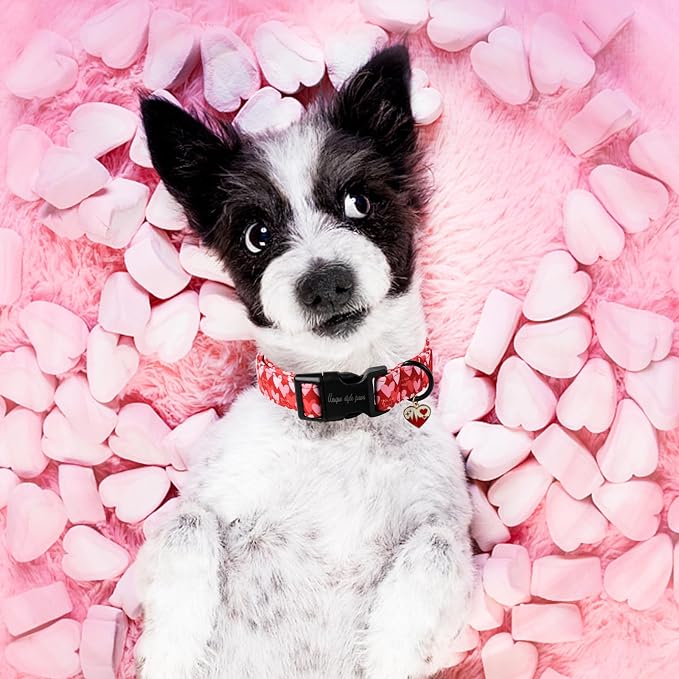 Unique style paws Valentine's Day Dog Collar Plastic Buckle Collar with Pendant Red Pink Love Gift Wedding Small Medium Large Boys Girls Dogs