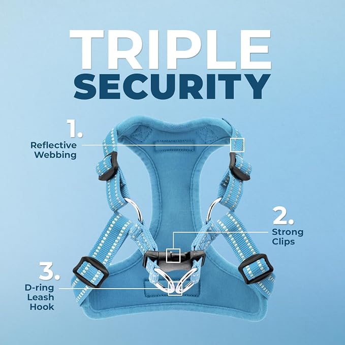 Best Pet Supplies Voyager Adjustable Step-in Flex Breathable Mesh Dog Harness for Small Medium Large Dogs Leash Set (Baby Blue), L
