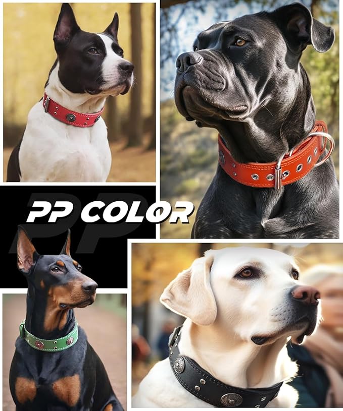 Genuine Leather Dog Collar for Large Dogs,2 in Wide Heavy Duty,OR-S | Handmade,Stainless Steel Pin Buckle,Soft Padded,Alloy Studded,Luxury Eye-catching Design,Medium Large Giant Breeds,15-19 in