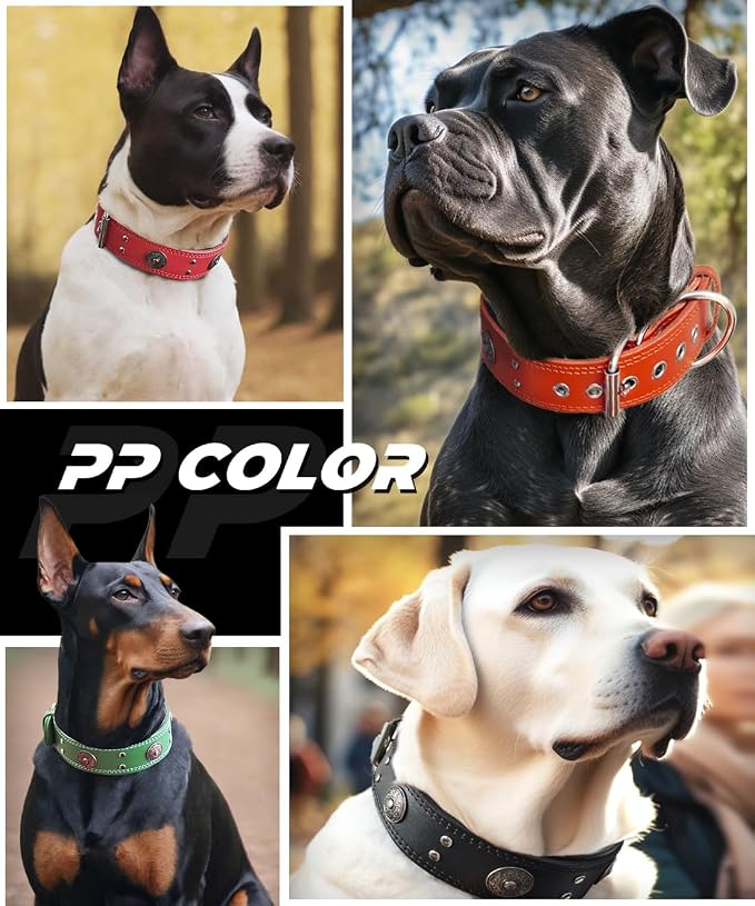Genuine Leather Dog Collar for Large Dogs,2 in Wide Heavy Duty,GN-S | Handmade,Stainless Steel Pin Buckle,Soft Padded,Alloy Studded,Luxury Eye-catching Design,Medium Large Giant Breeds,15-19 in