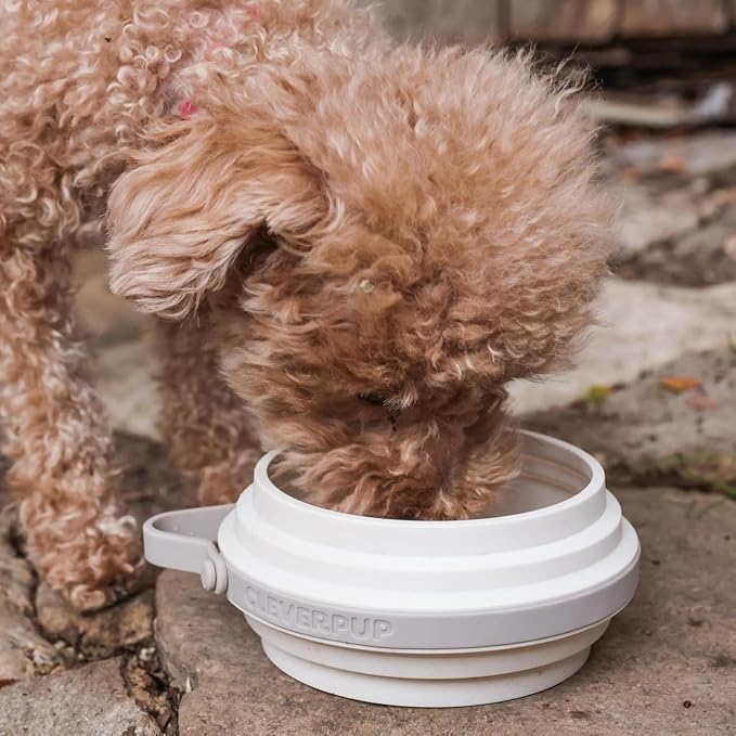 Cleverpup Nomad Small Collapsible Travel Dog Bowl - 2 Cup BPA-Free Silicone for Small & Medium Dogs, Portable, Sturdy, Food & Water, Dishwasher Safe - Sand Silicone