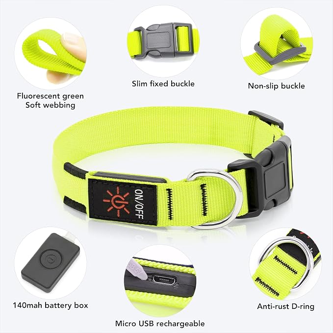 Light Up Dog Collar, Rechargeable USB Collar, Waterproof, Luminous LED Collar, Adjustable, Super Bright, Night Walking for Small Medium Large Dogs, Green, L
