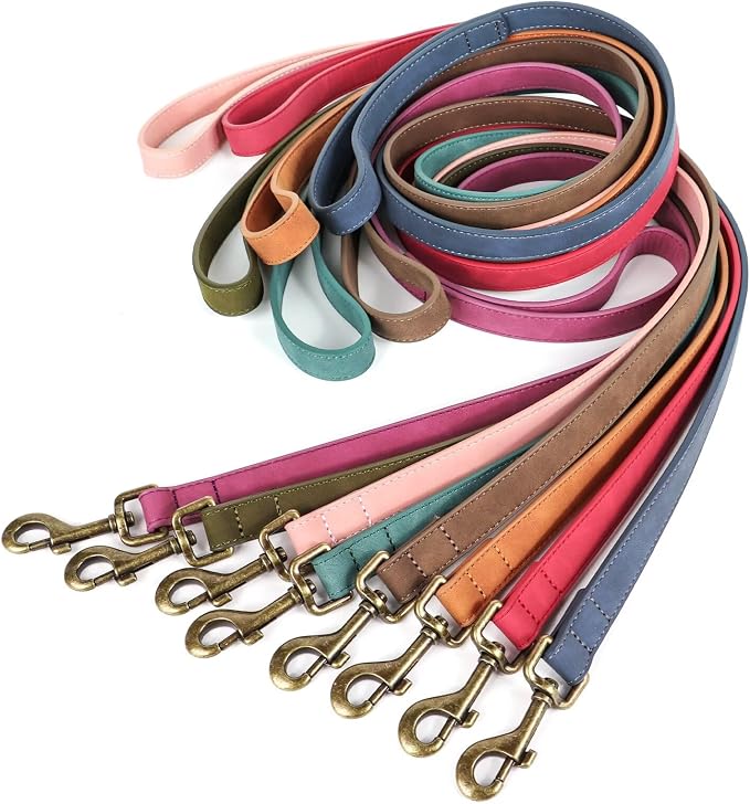 Didog PU Leather Dog Leash, Colorful Dog Leash 4ft, Strong and Durable Faux Leather Lead, Walking and Training Lead for Small Medium Dogs,Dark Green