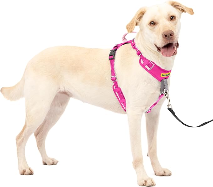 PetSafe Easy Walk Comfort No-Pull Dog Harness Full-Body Padding - Better Walks on the First Use - 5 Points of Adjustment Large, Pink