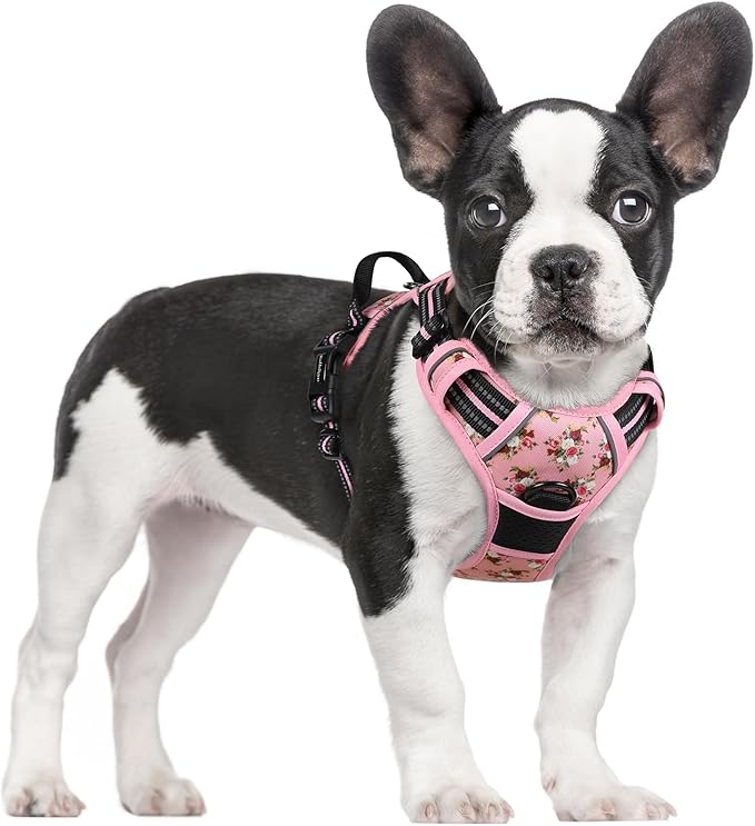 rabbitgoo Dog Harness No Pull with 2 Leash Clips, Adjustable Soft Padded, Reflective Oxford No Choke Pet Vest with Easy Control Handle for Small Dogs, Pink Rose, S