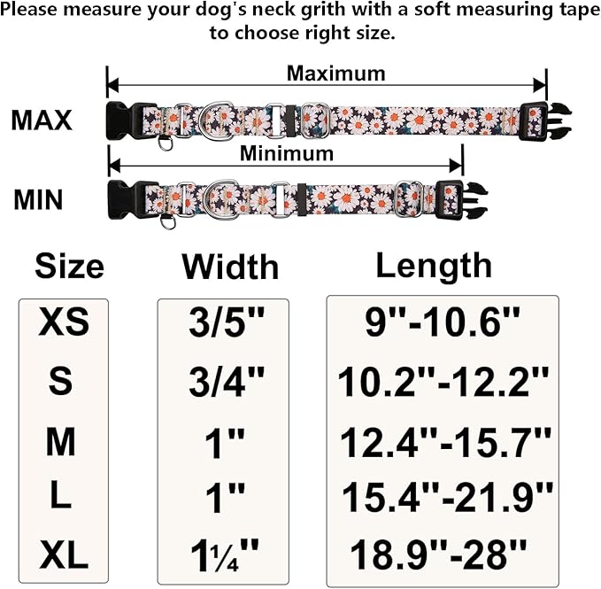 Martingale Collar for Dogs Daisy Dog Collar with Buckle Adjustable Nylon Medium Dog Collars, Daisy
