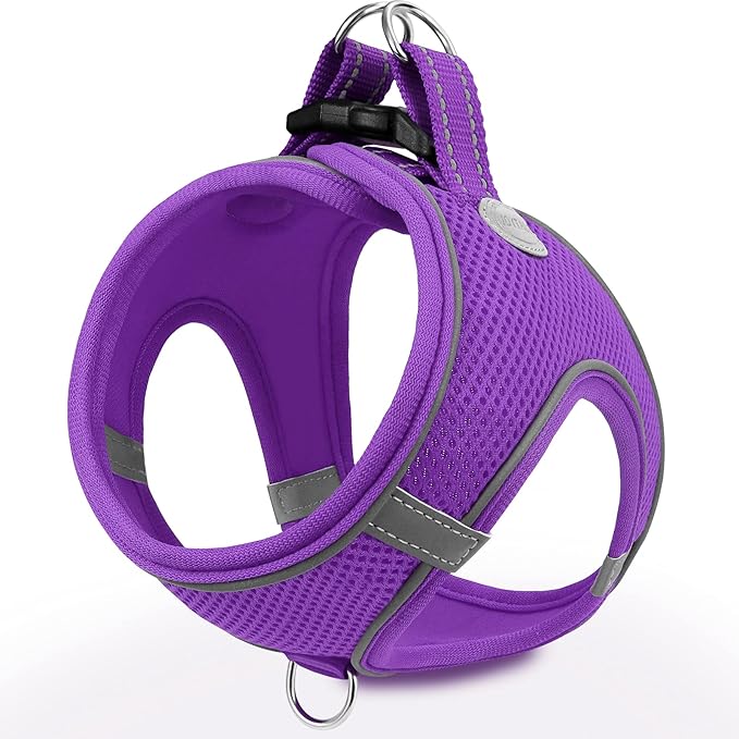 Joytale Small Dog Harness, Breathable Mesh Step-in Vest, Reflective Soft Padded Harnesses Small Sized Dog for Walking, Purple, S